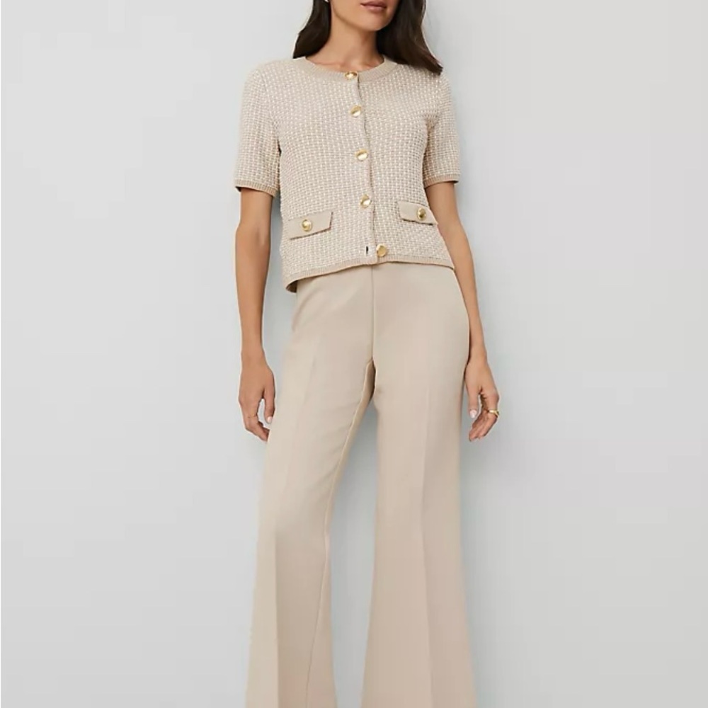 Ann Taylor side zipped pants